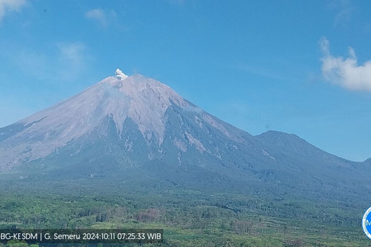 Read more about the article Gunung Semeru Meletus, Tinggi Letusan Mencapai 400 Meter