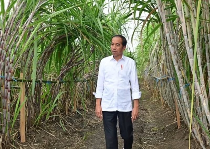 You are currently viewing Maman Abdurrahman Menolak Keanggotaan Jokowi dan Gibran di Partai Golkar