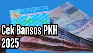 Read more about the article Periksa NIK KTP Anda: Mungkin Masuk Daftar Penerima Bansos PKH 2025